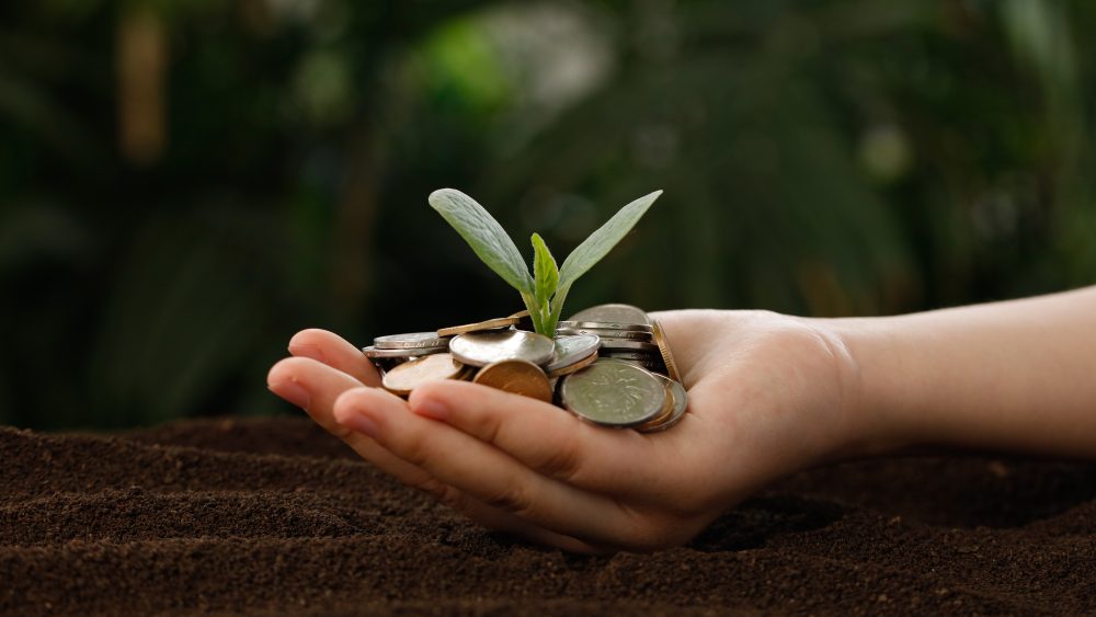A hand with a plant growing out of a pile of coins.